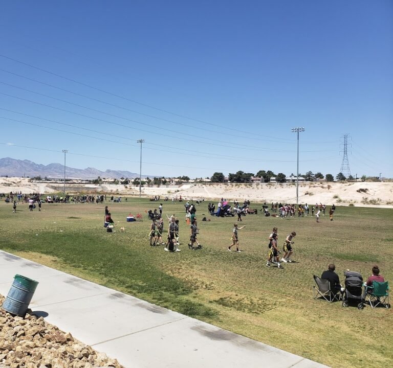 Soccer Field image 2