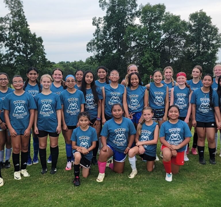 Soccer Field image 2