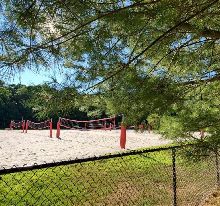 Soccer Field image 2