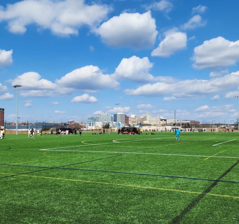 Soccer Field image 2
