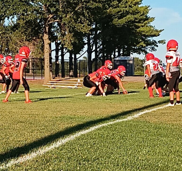 Soccer Field image 2