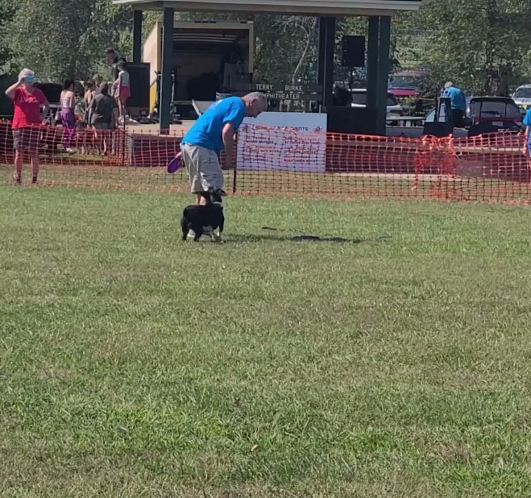 Soccer Field image 4