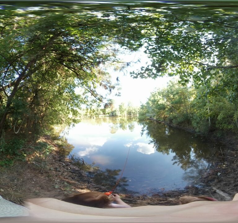 Soccer Field image 3