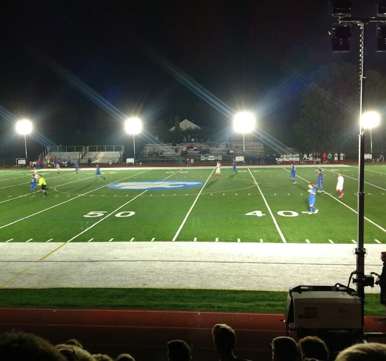 Soccer Field image 2