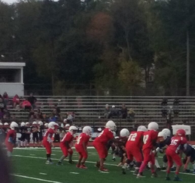 Soccer Field image 3