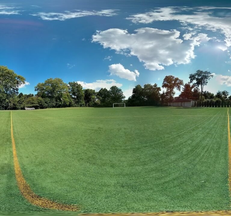 Soccer Field image 2