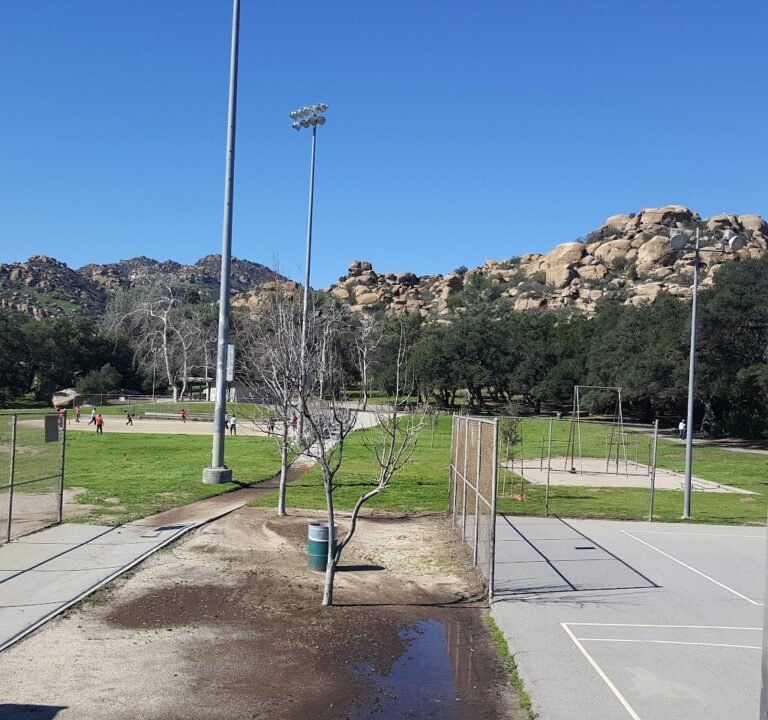 Soccer Field image 2