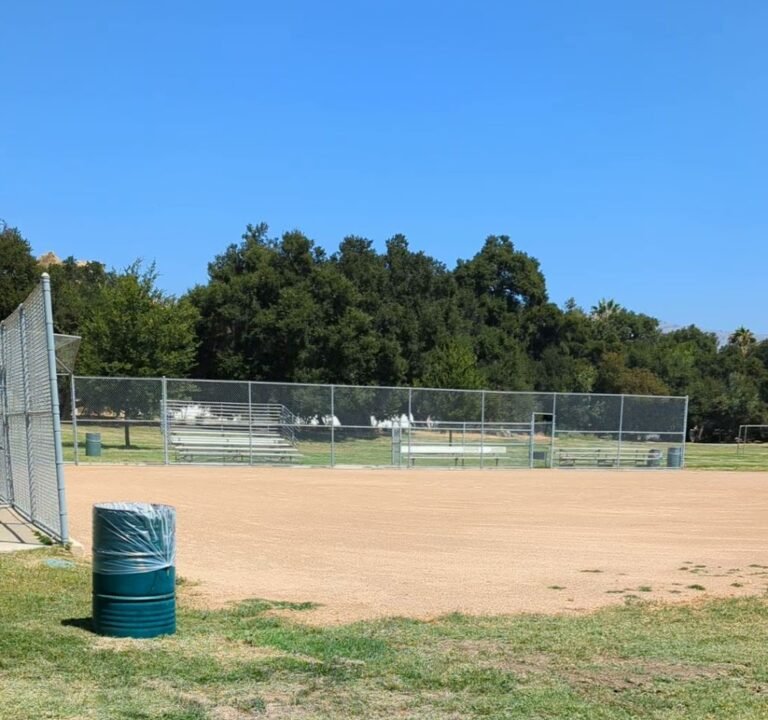 Soccer Field image 4