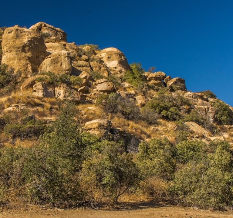 Soccer Field image 3