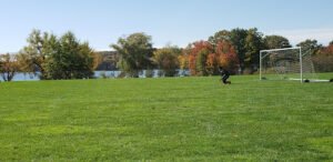 Soccer Field image 1
