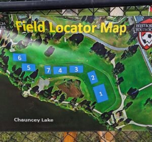 Soccer Field image 2