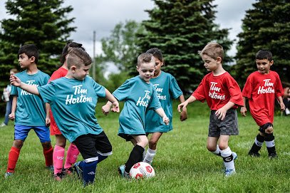 Soccer Field image 1
