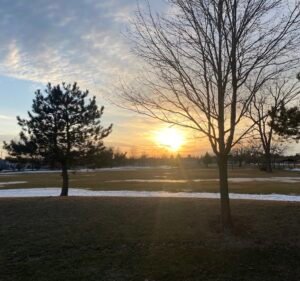 Soccer Field image 3