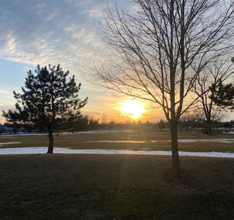 Soccer Field image 3