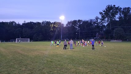 Soccer Field image 1