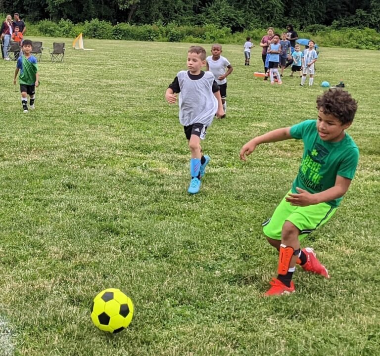 Soccer Field image 2