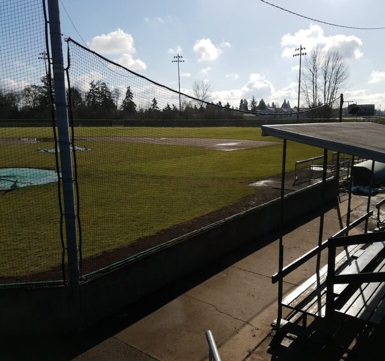 Soccer Field image 2