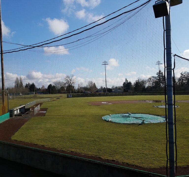 Soccer Field image 3