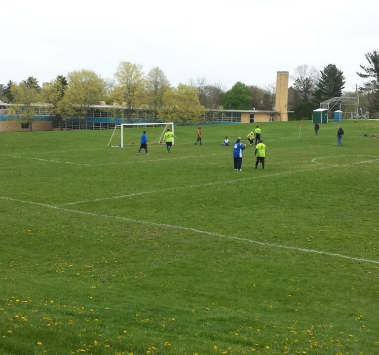 Soccer Field image 2