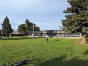 Soccer Field image 1