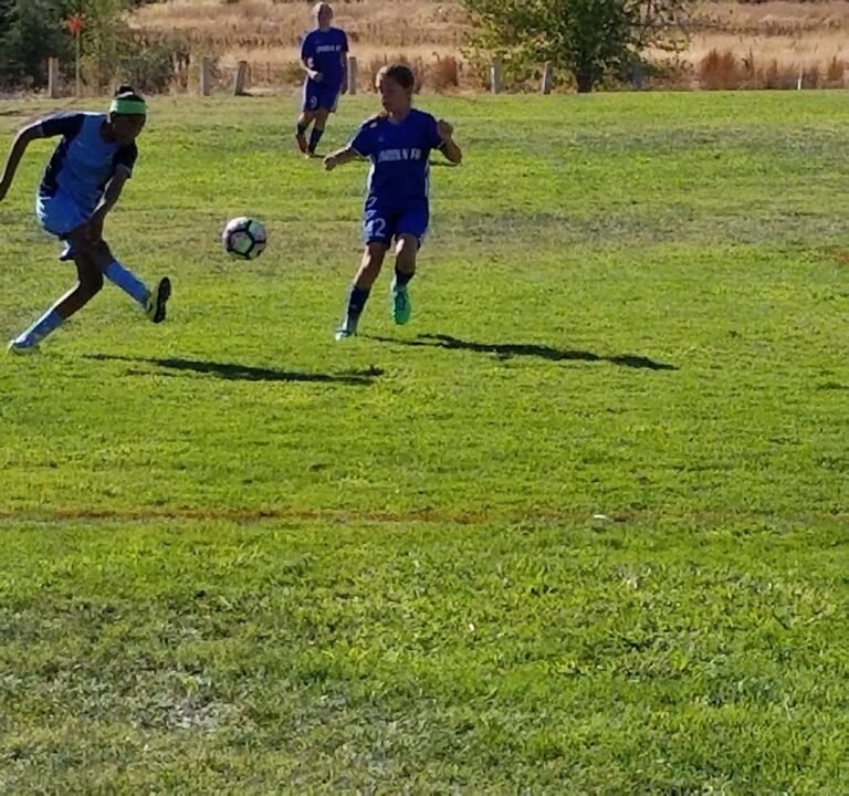 Soccer Field image 3