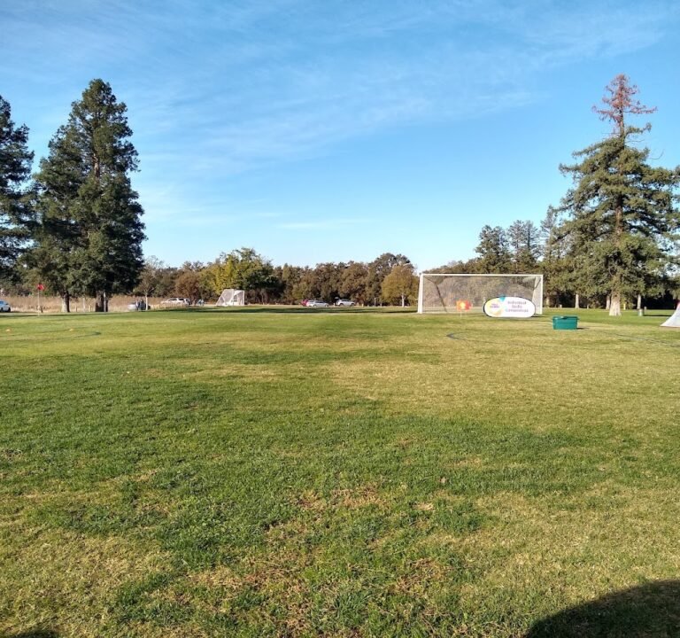 Soccer Field image 2