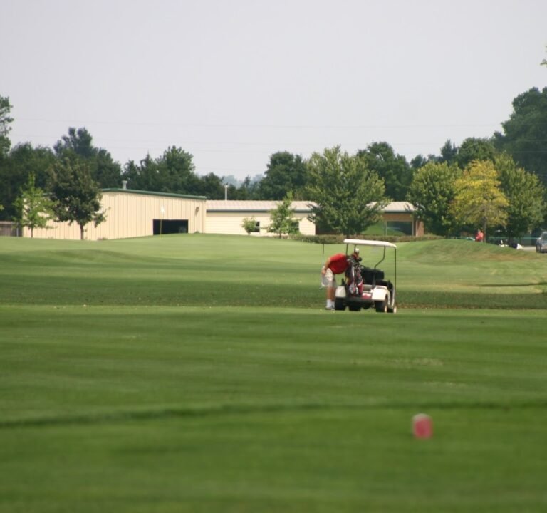 Soccer Field image 2