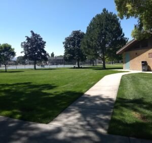 Soccer Field image 2