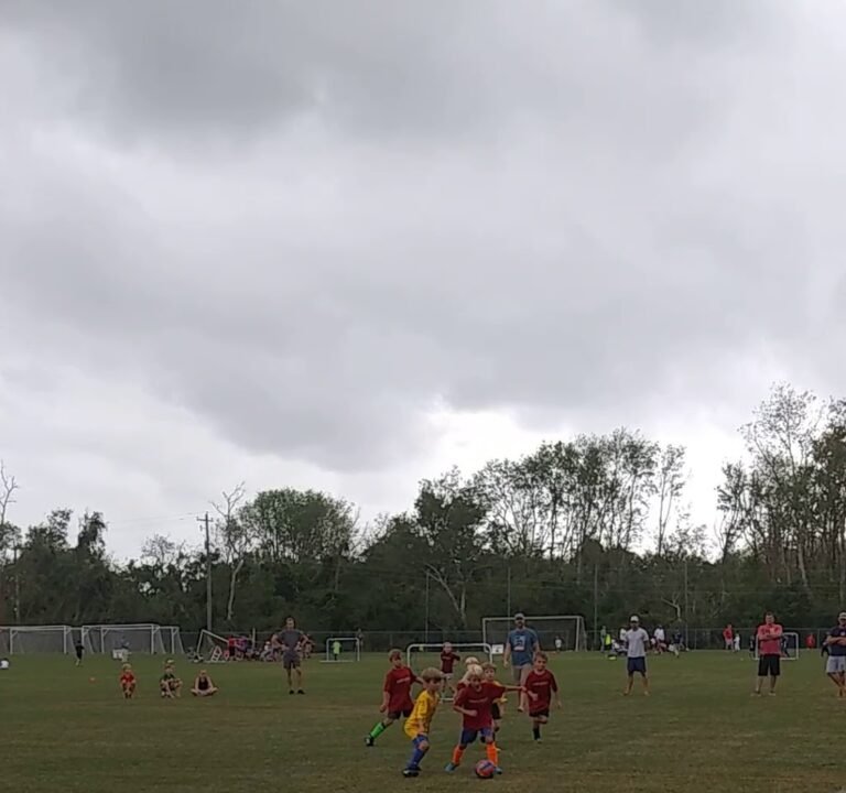 Soccer Field image 3