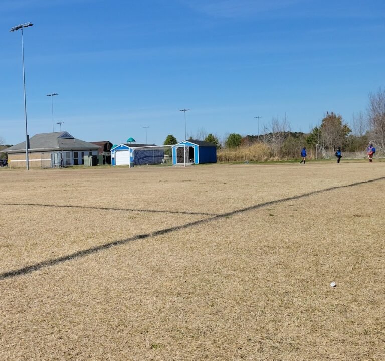 Soccer Field image 2