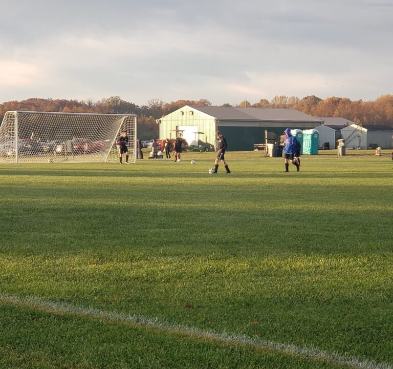 Soccer Field image 2