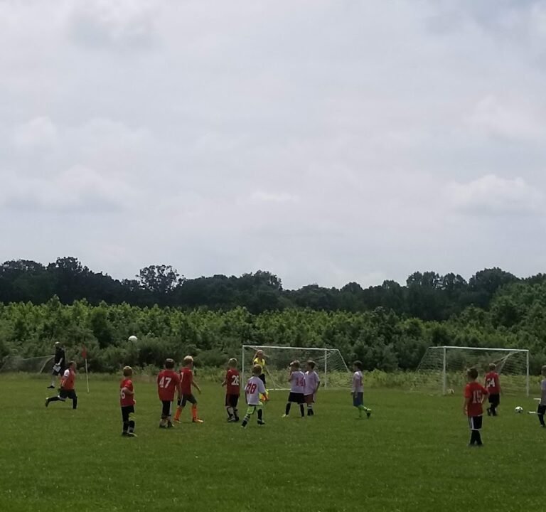 Soccer Field image 3