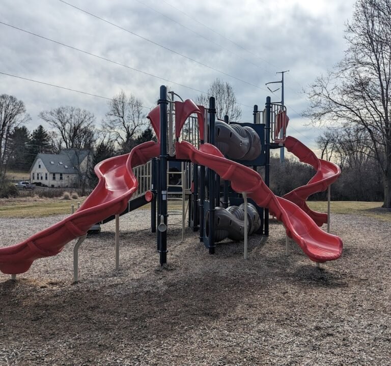 Soccer Field image 2