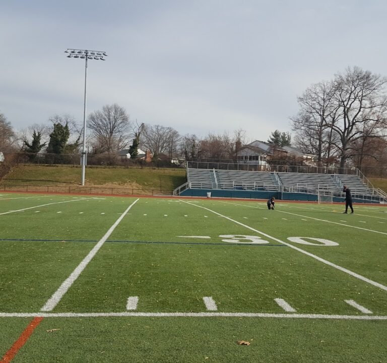 Soccer Field image 2
