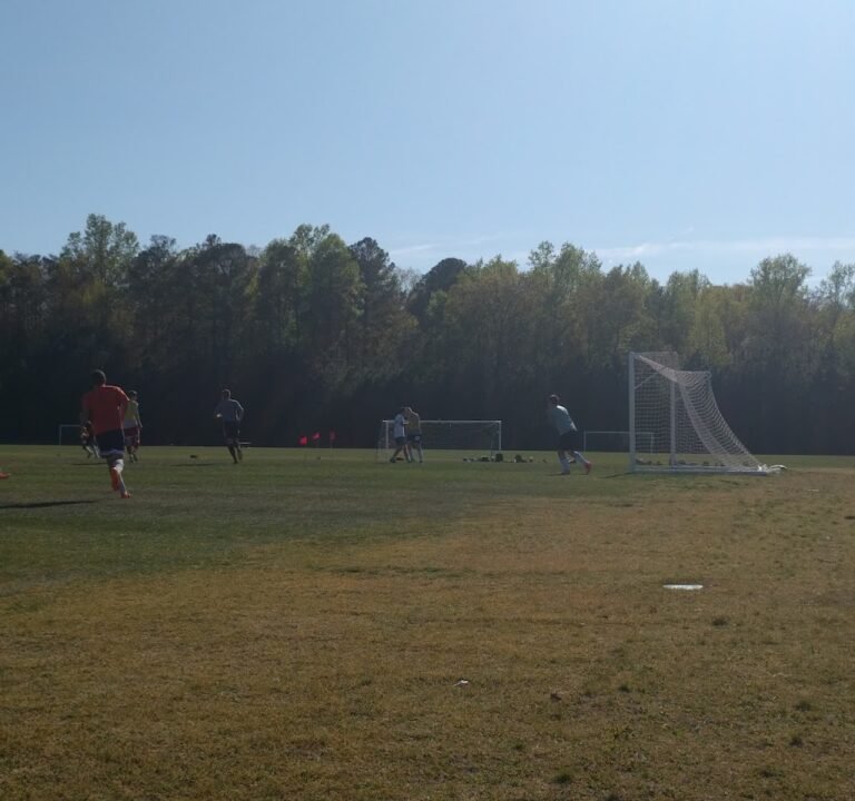 Soccer Field image 3