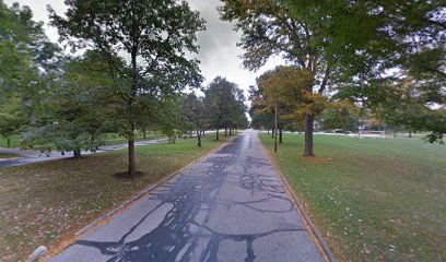 Soccer Field image 1