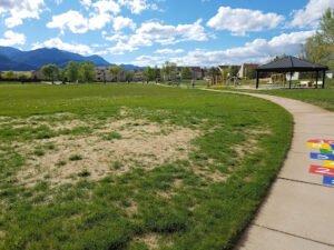 Soccer Field image 1