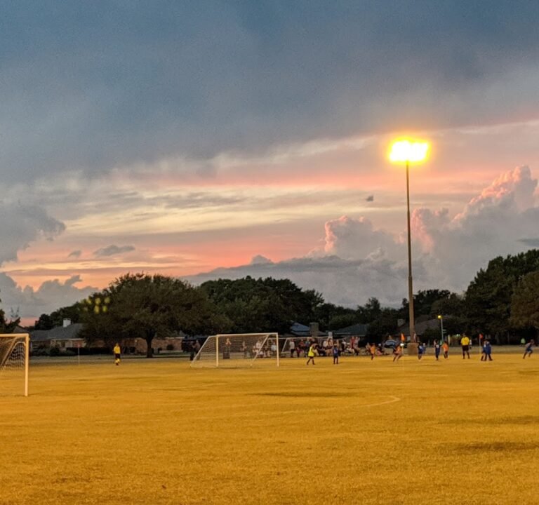 Soccer Field image 2
