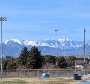 Soccer Field image 3
