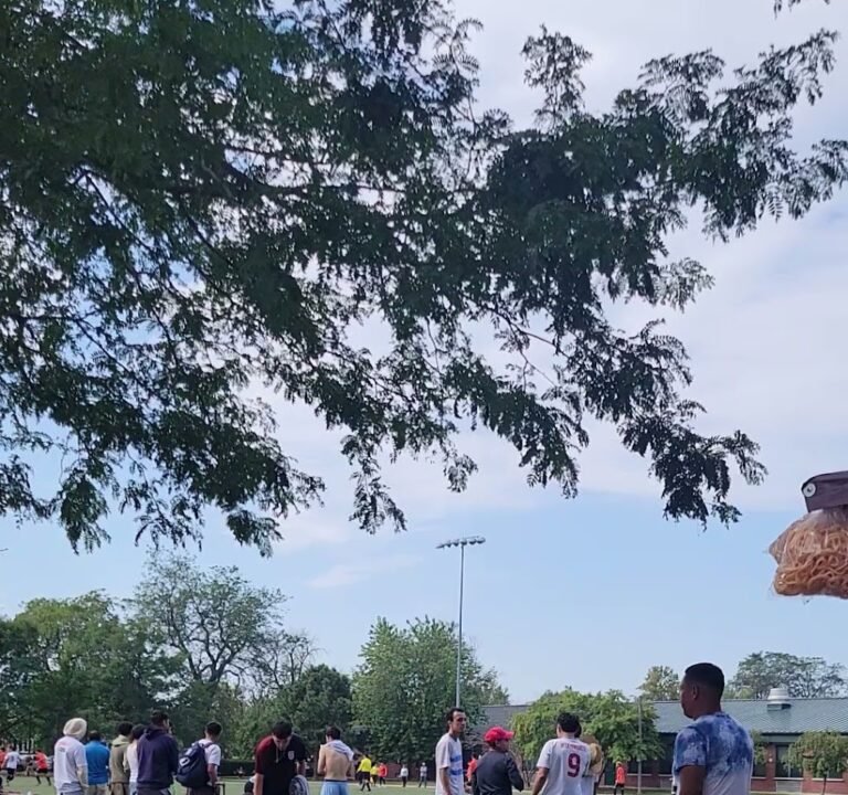 Soccer Field image 4