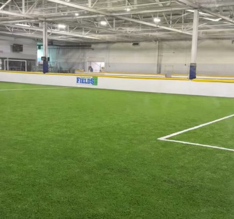 Soccer Field image 3