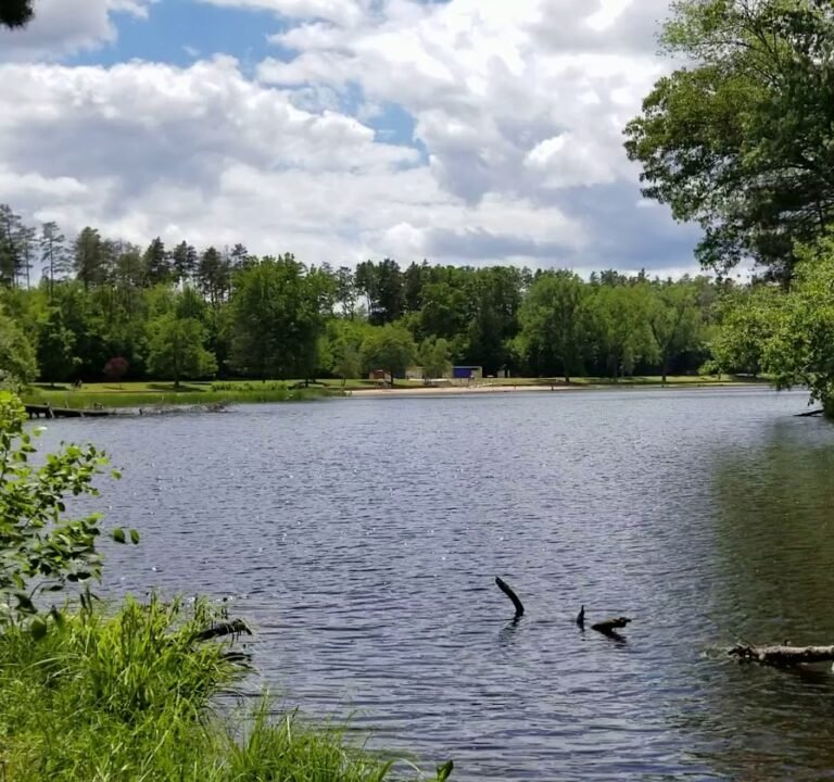 Soccer Field image 3