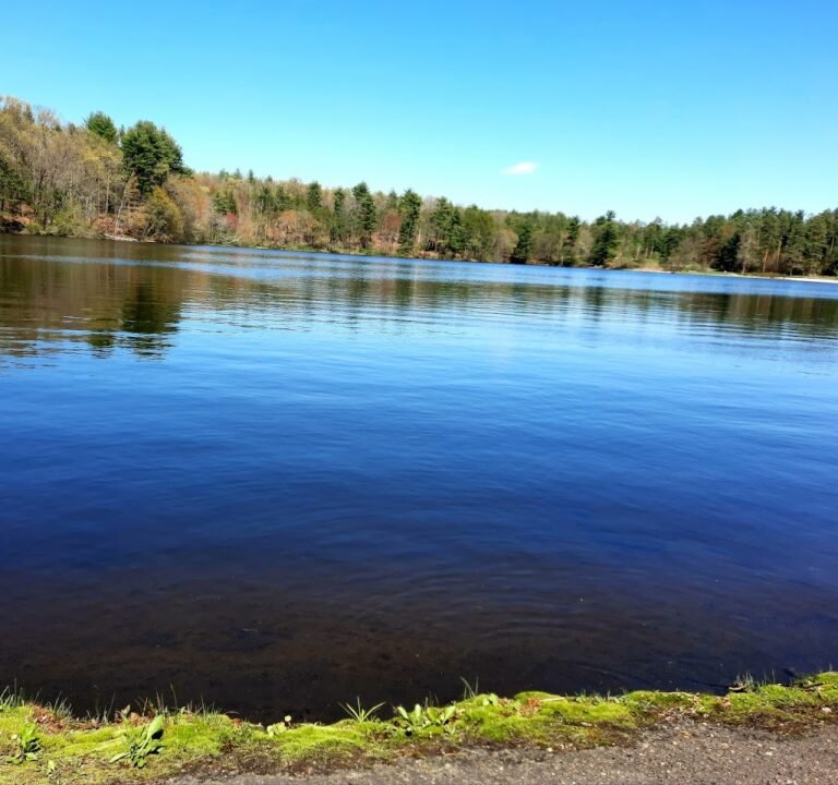 Soccer Field image 2
