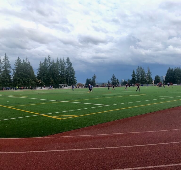 Soccer Field image 2