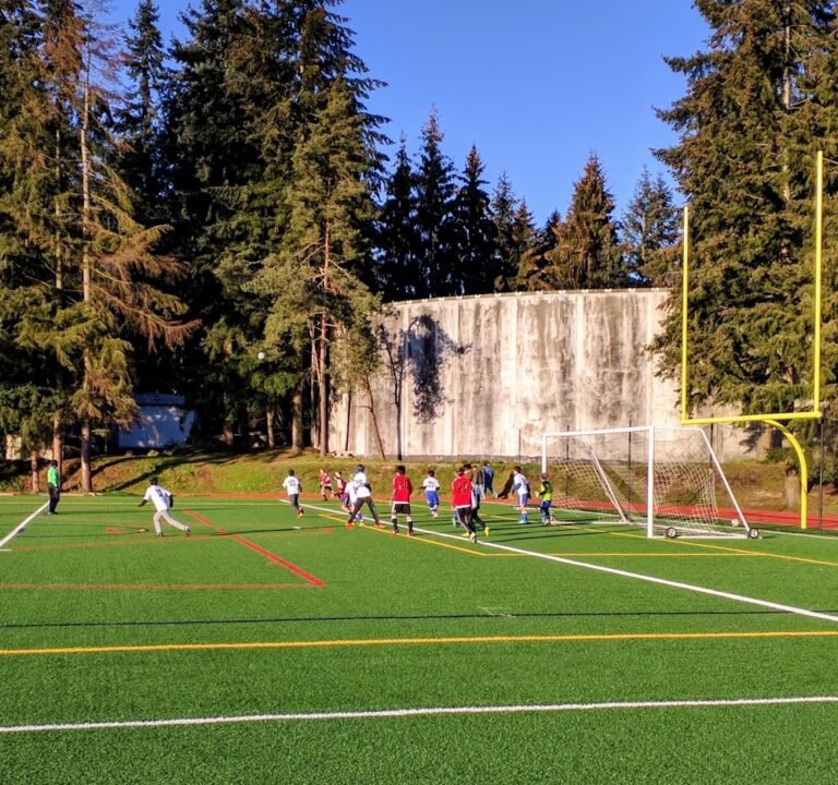 Soccer Field image 3