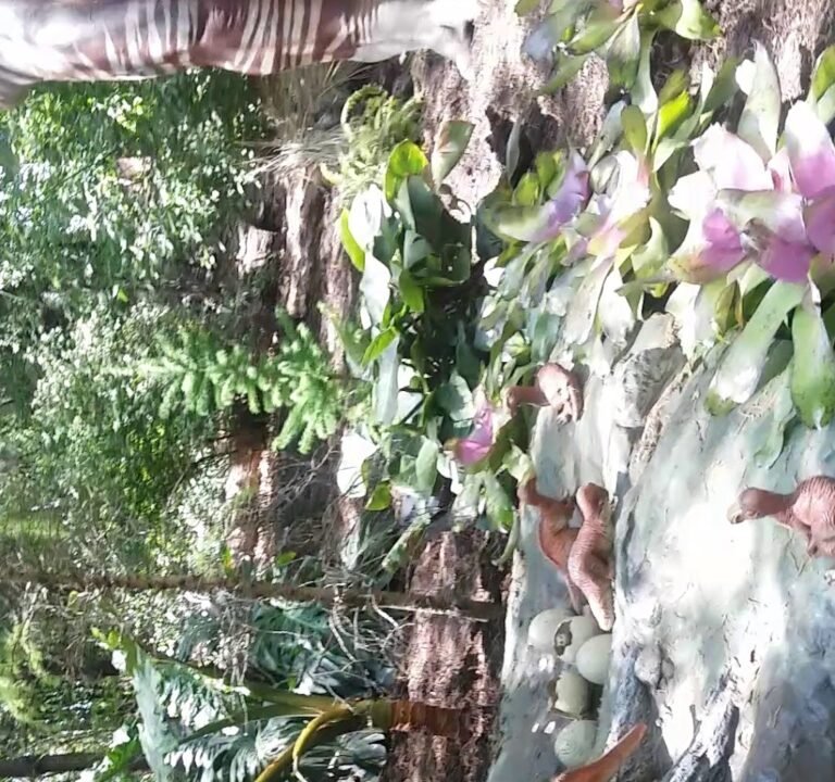 Soccer Field image 4