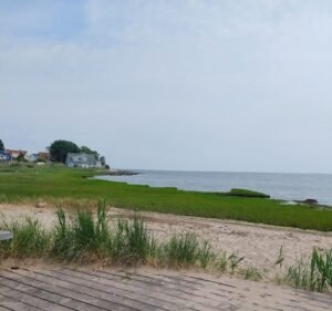 Soccer Field image 3