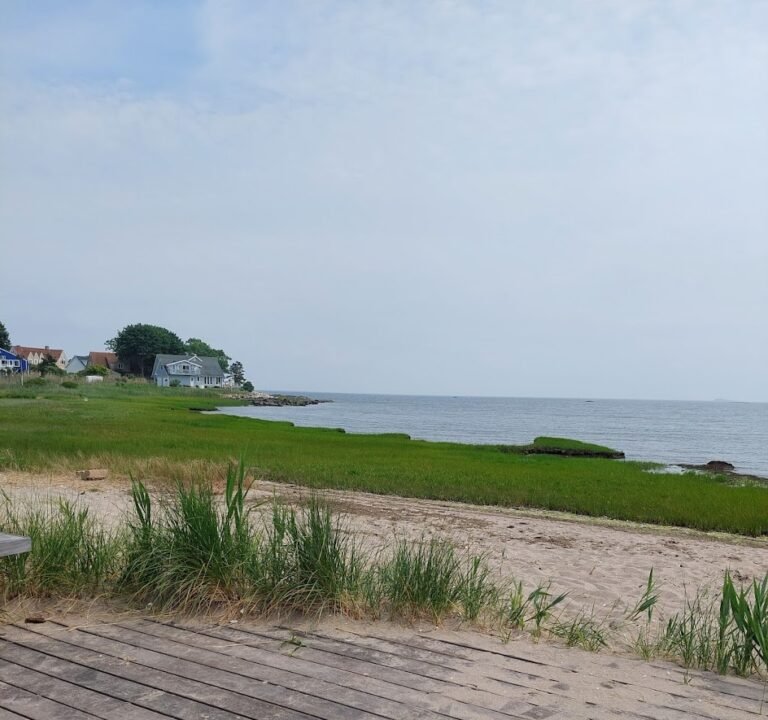 Soccer Field image 3