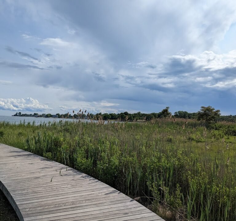 Soccer Field image 2