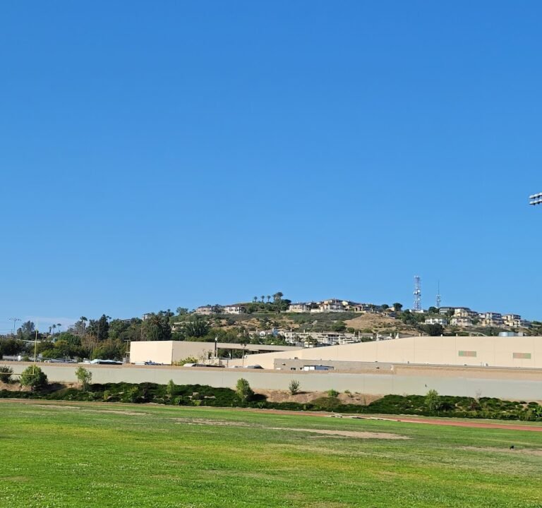 Soccer Field image 2